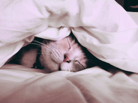 Como parar de procrastinar definitivamente