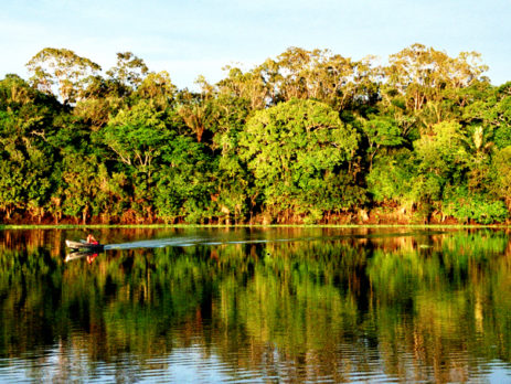 Importância da Amazônia